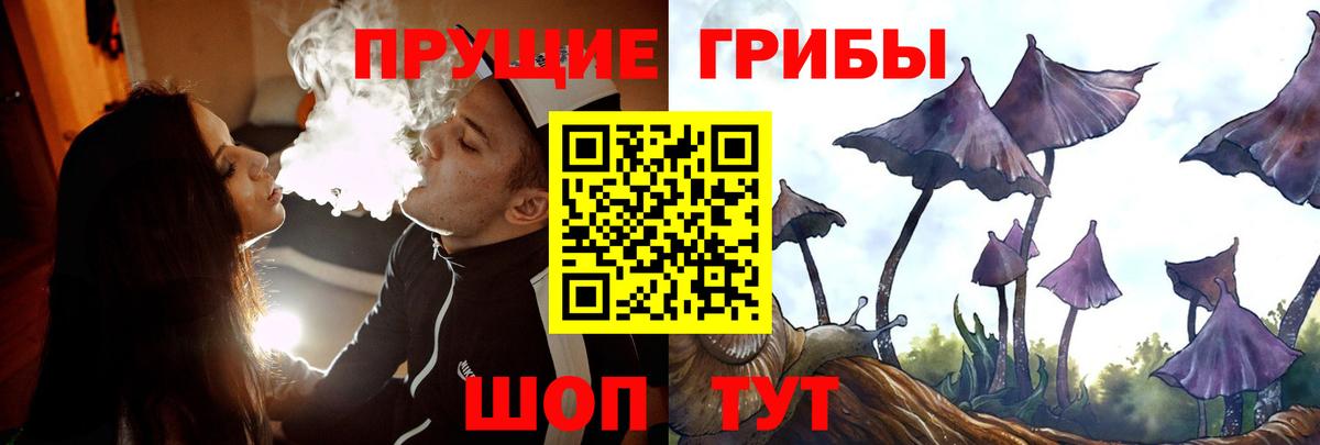 Назарово  Псилоцибиновые грибы MAGIC MUSHROOMS  Вход с VPN  Псилоцибиновые грибы Magic Shrooms 